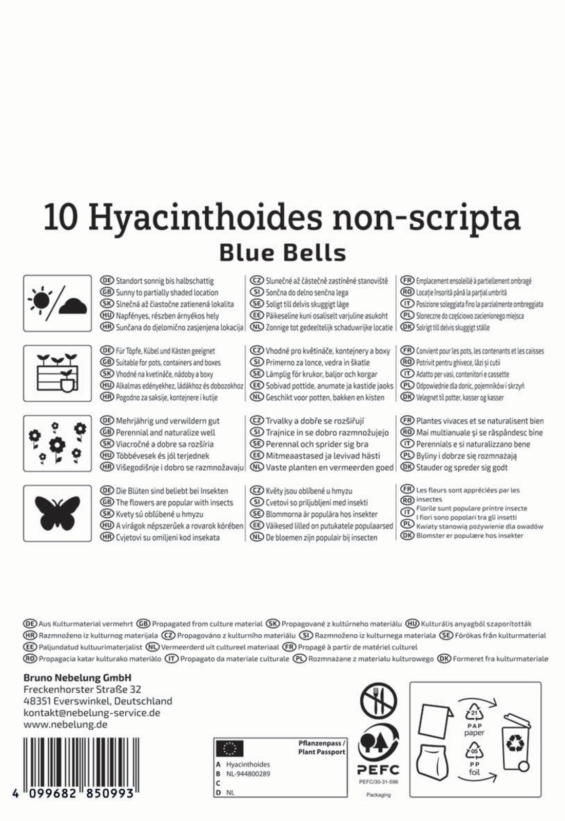  Hasenglöckchen Blue Bells (10 Stück)