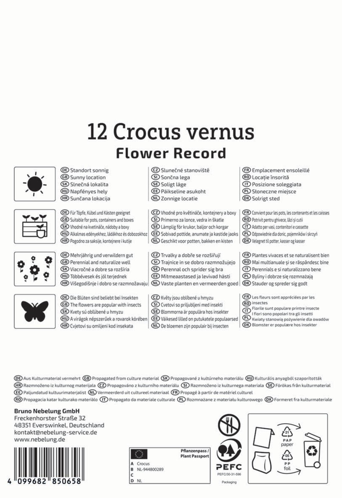  Großblumiger Krokus Flower Record (12 Stück)