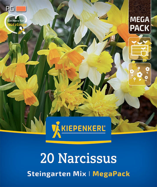 Mega-Pack Steingarten-Narzissen Mischung (20 Stück)