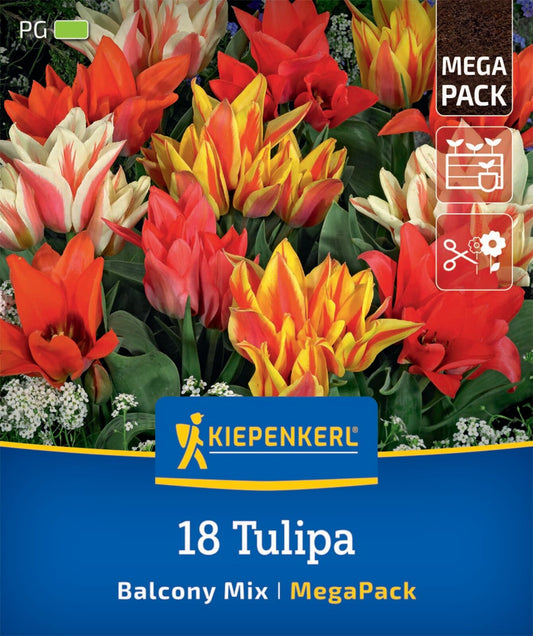  Mega-Pack Botanische Tulpen Balkonzauber Mischung (18 Stück)