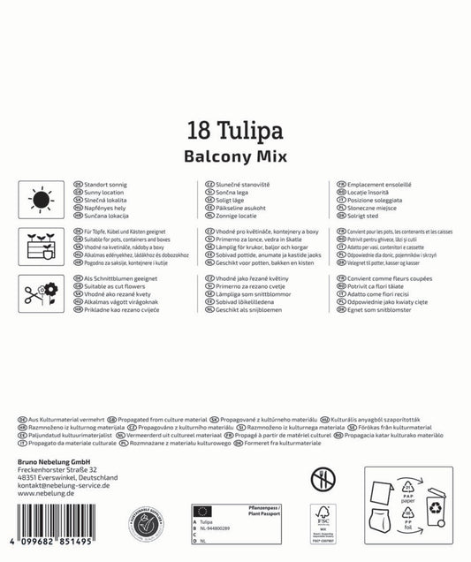 Mega-Pack Botanische Tulpen Balkonzauber Mischung (18 Stück)