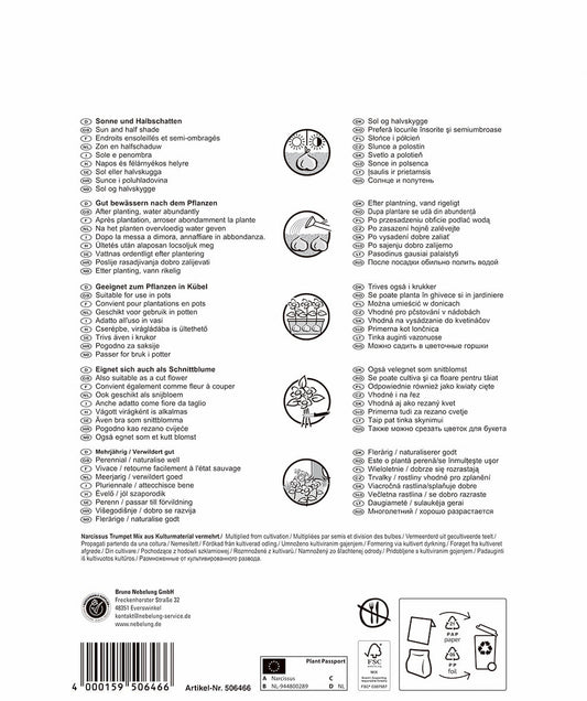 Pegasus Narzissen Trompetenmischung (35 Stück)