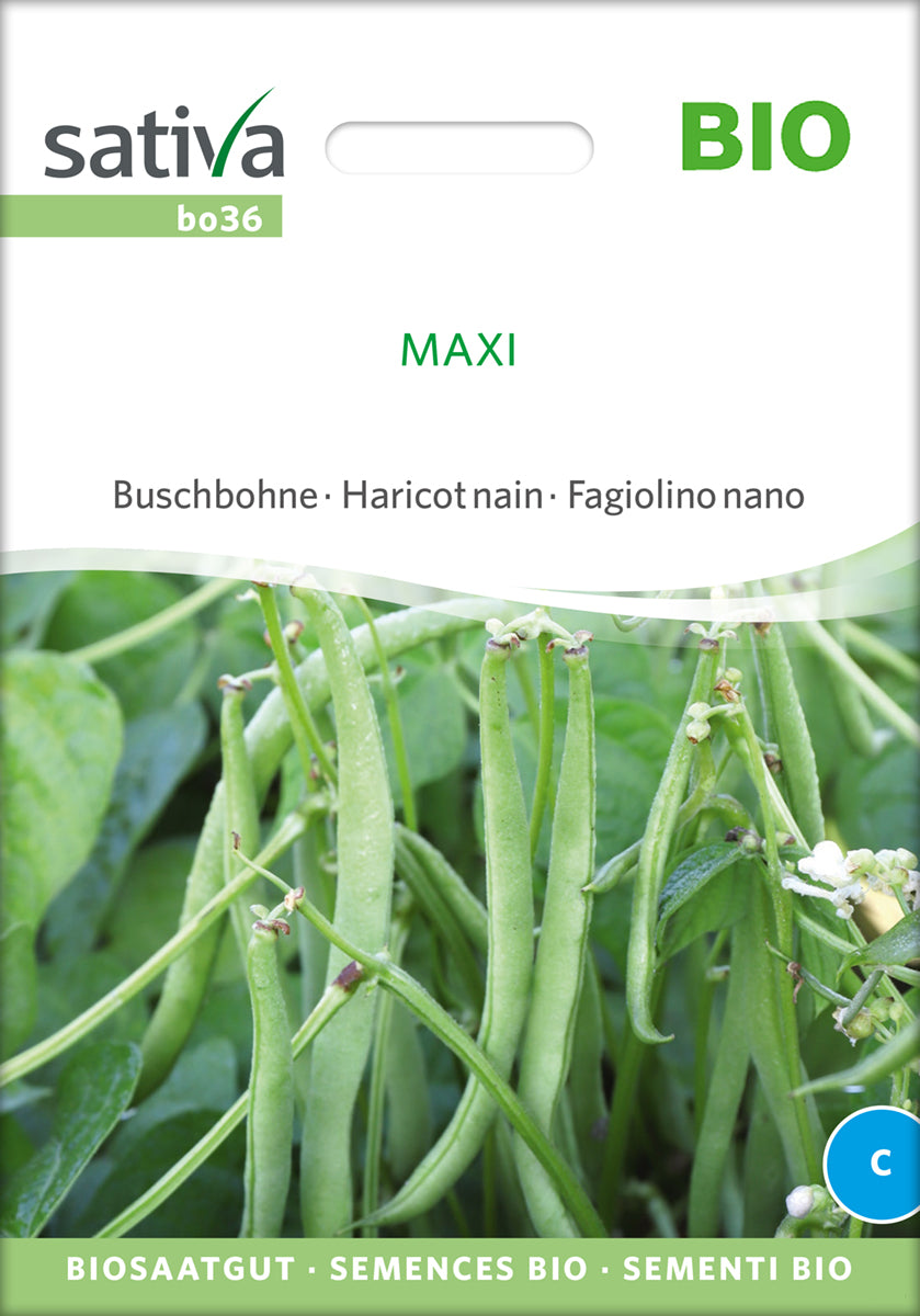  BIO Buschbohne Maxi [MHD 12/2025]