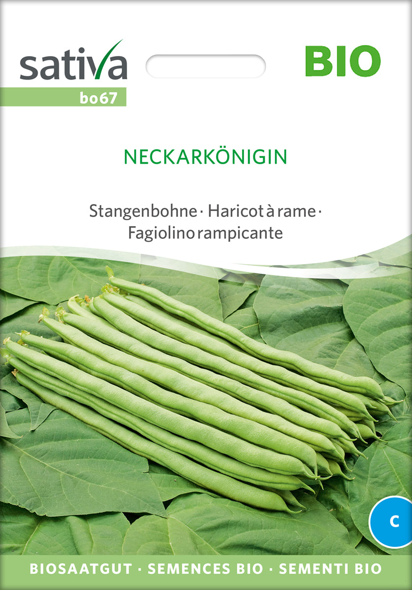  BIO Stangenbohne Neckarkönigin [MHD 12/2025]