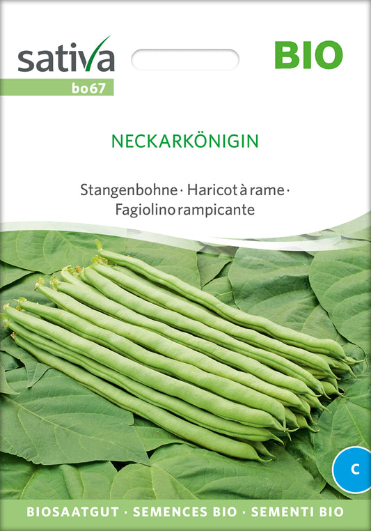  BIO Stangenbohne Neckarkönigin [MHD 12/2025]