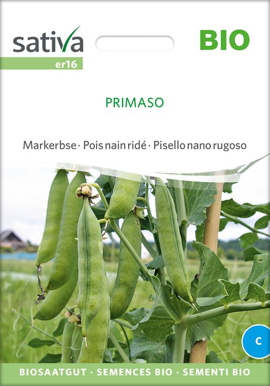  BIO Markerbse Primaso