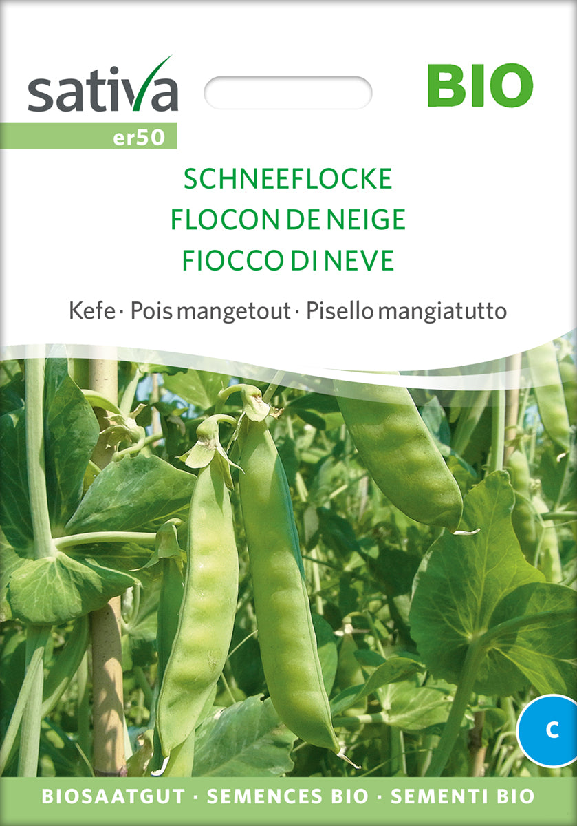  BIO Zuckererbse Schneeflocke [MHD 12/2025]