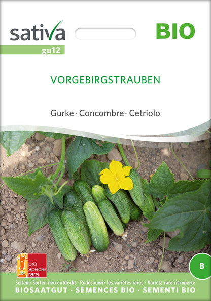  BIO Gurke Vorgebirgstrauben [MHD 12/2025]