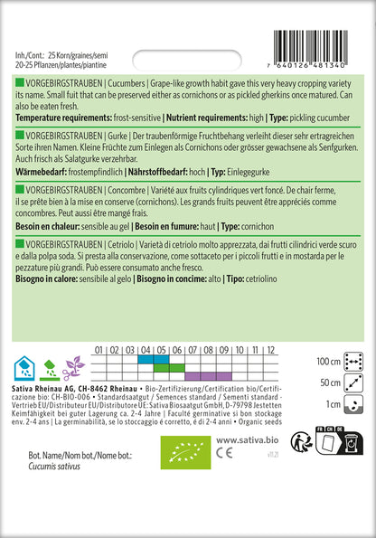  BIO Gurke Vorgebirgstrauben [MHD 12/2025]