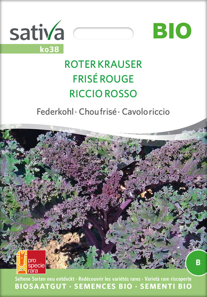  BIO Federkohl / Grünkohl Roter Krauser