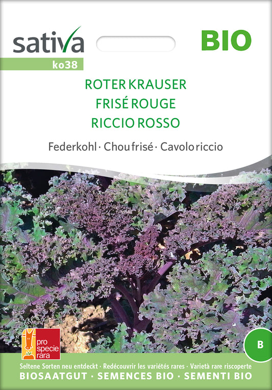  BIO Federkohl / Grünkohl Roter Krauser