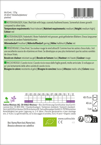  BIO Federkohl / Grünkohl Roter Krauser