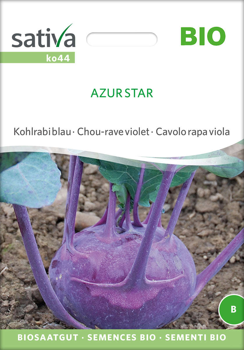  BIO Kohlrabi Blau Azur Star