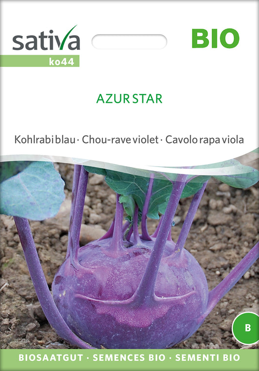  BIO Kohlrabi Blau Azur Star