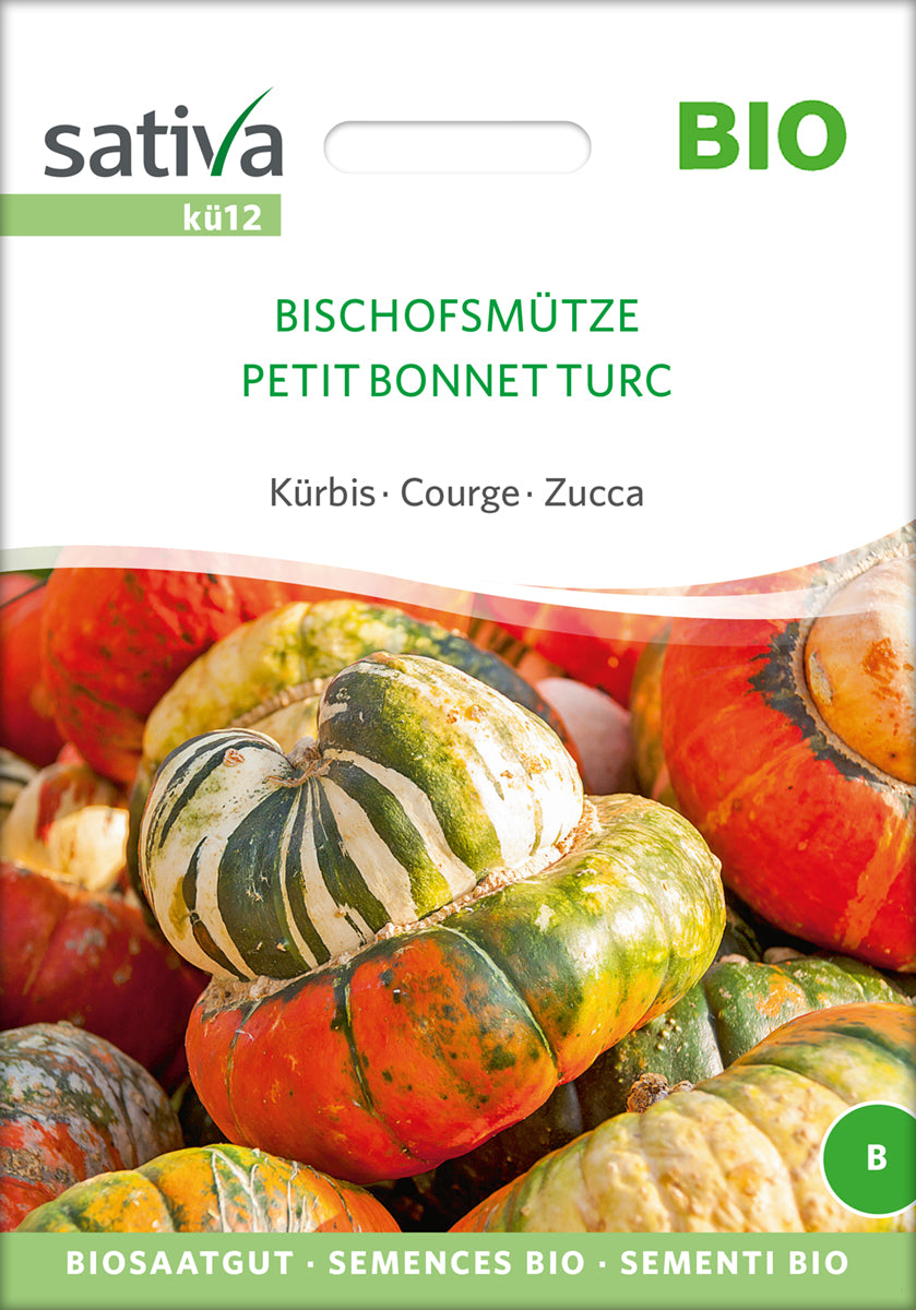  BIO Kürbis Bischofsmütze