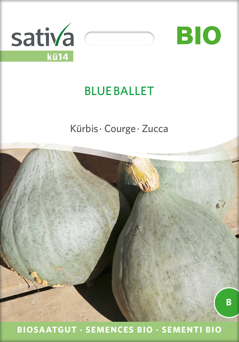  BIO Kürbis Blue Ballet [MHD 12/2025]