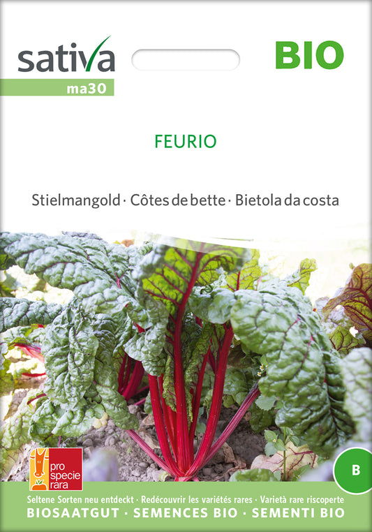  BIO Krautstiel / Stielmangold Feurio [MHD 12/2025]