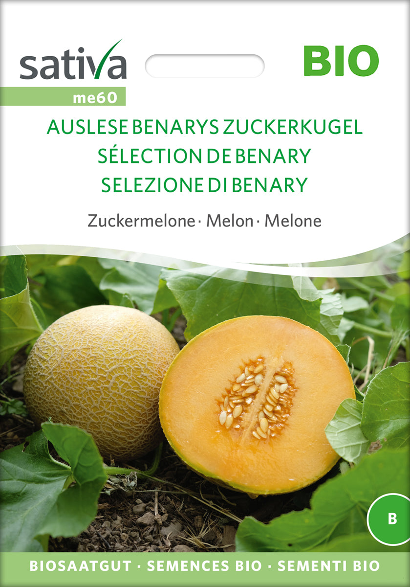  BIO Zuckermelone Auslese
