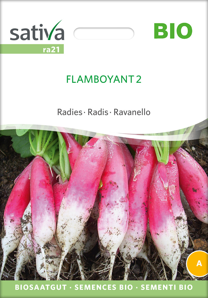  BIO Radies Flamboyant 2 [MHD 12/2025]