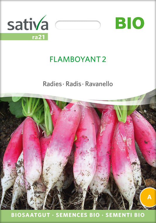  BIO Radies Flamboyant 2 [MHD 12/2025]