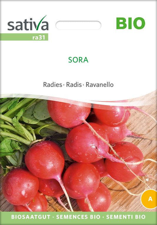  BIO Radies Sora [MHD 12/2025]