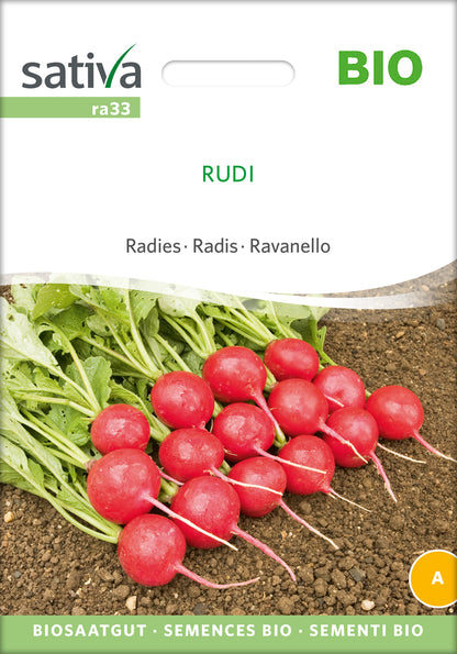  BIO Radies Rudi [MHD 12/2025]