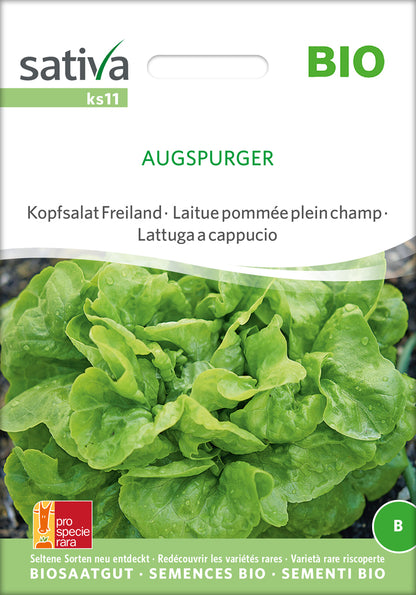  BIO Kopfsalat Freiland Augspurger