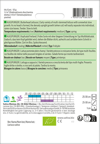  BIO Kopfsalat Freiland Augspurger