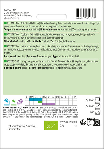  BIO Kopfsalat Freiland Attraktion [MHD 12/2025]