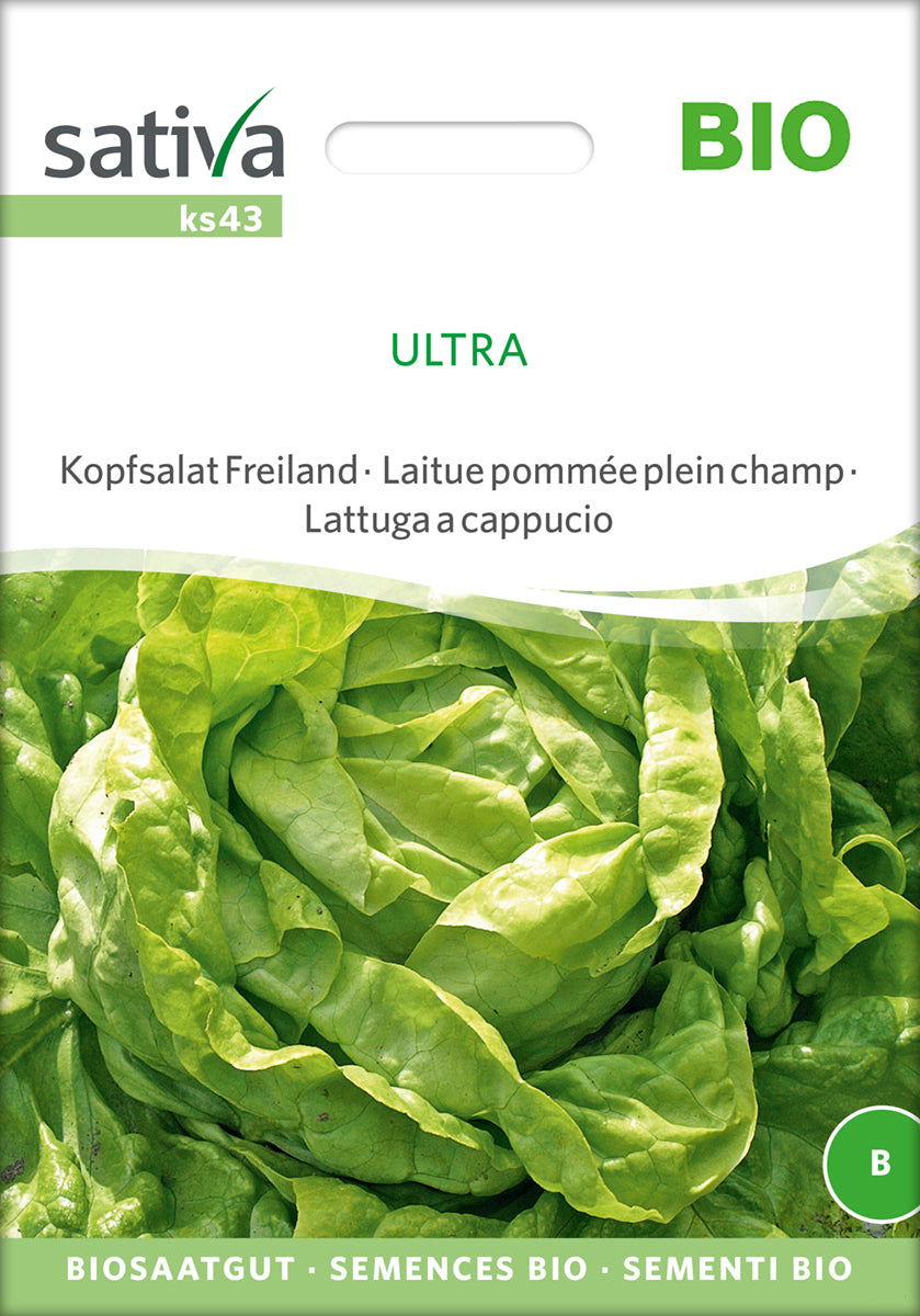  BIO Kopfsalat Freiland Ultra [MHD 12/2025]