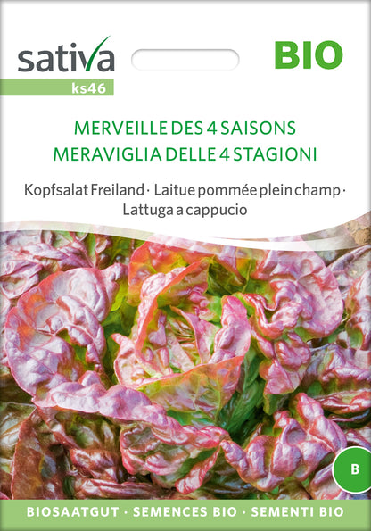  BIO Kopfsalat Freiland Merveille Des 4 Saisons [MHD 12/2025]