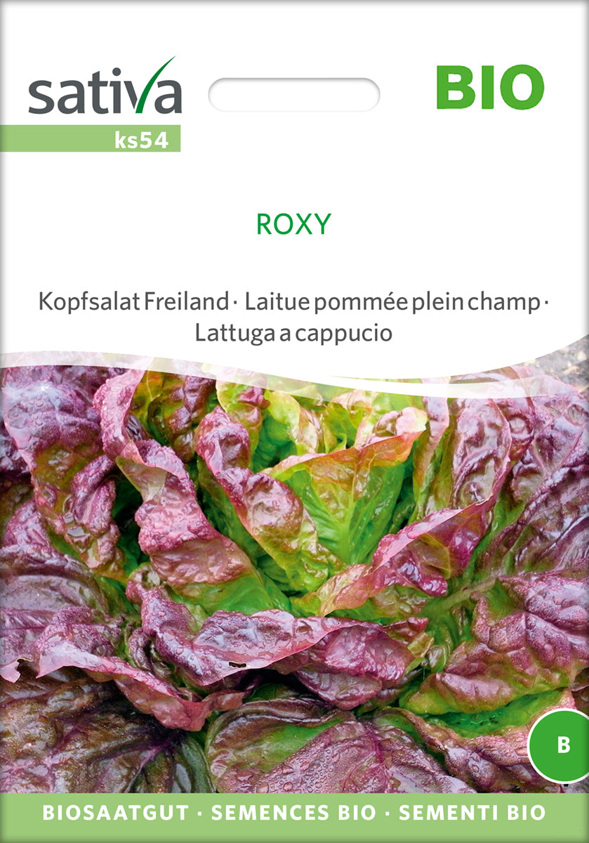  BIO Kopfsalat Freiland Roxy [MHD 12/2025]