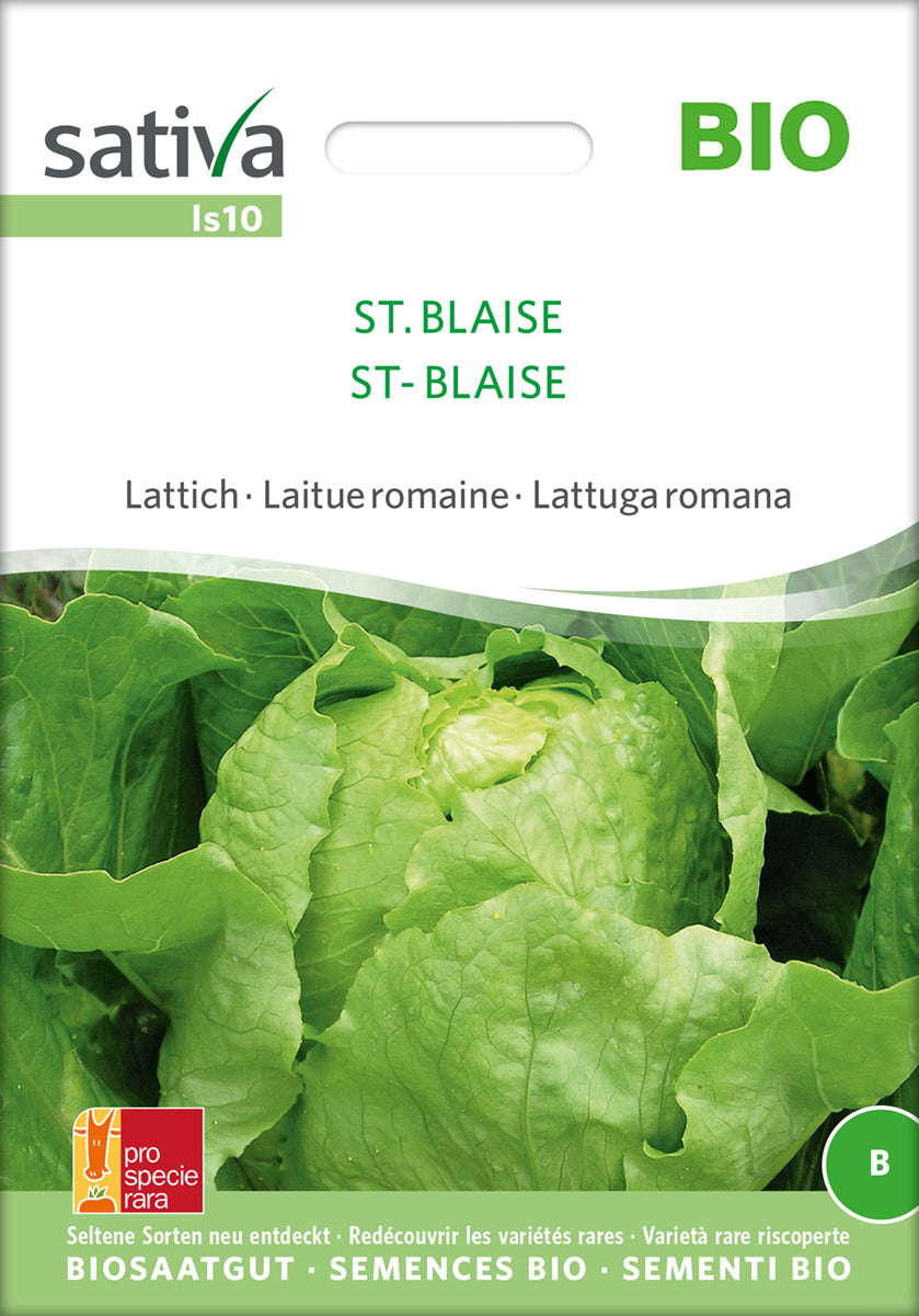  BIO Lattich St. Blaise [MHD 12/2025]
