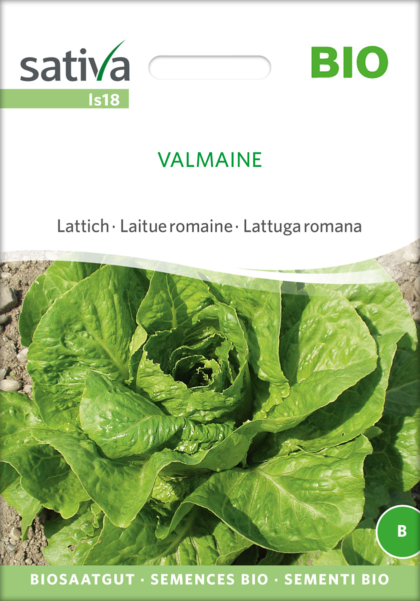  BIO Lattich Valmaine [MHD 12/2025]