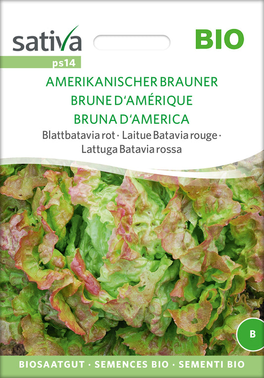  BIO Blattbatavia Rot Amerikanischer Brauner [MHD 12/2025]