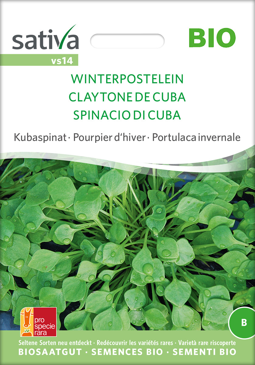  BIO Winterpostelein [MHD 12/2025]