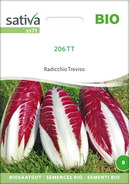  BIO Treviso