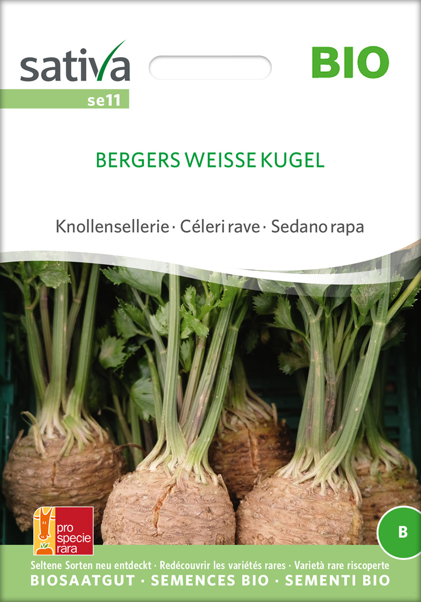  BIO Knollensellerie Bergers Weisse Kugel [MHD 12/2025]