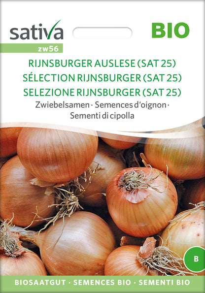  BIO Zwiebelsamen Rijnsburger Auslese [MHD 12/2025]