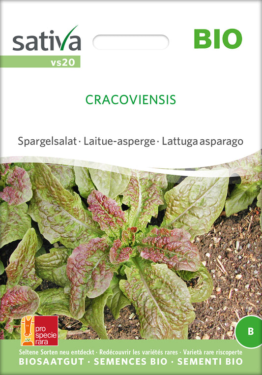  BIO Spargelsalat Cracoviensis