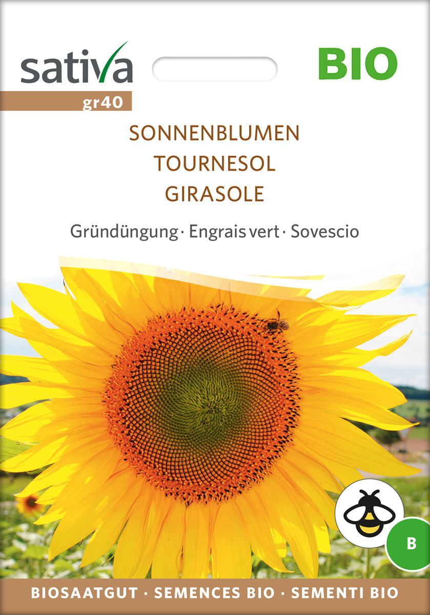  BIO Gründüngung Sonnenblumen