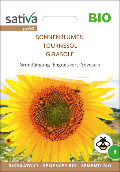  BIO Gründüngung Sonnenblumen