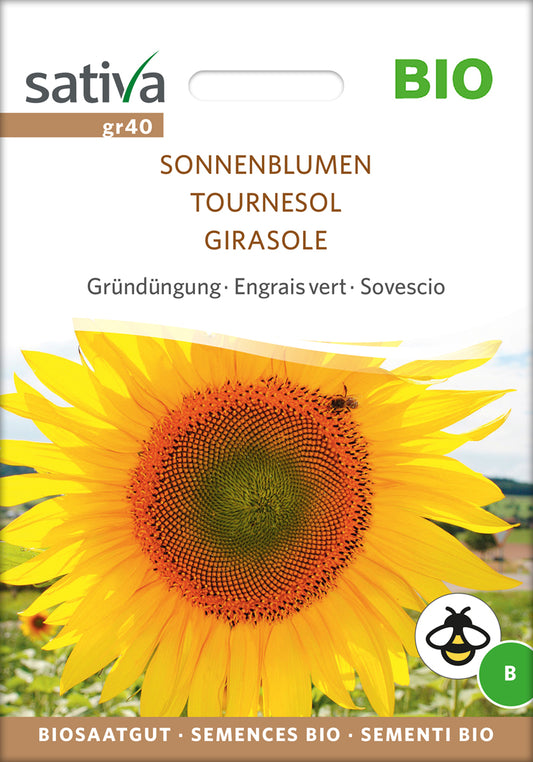  BIO Gründüngung Sonnenblumen