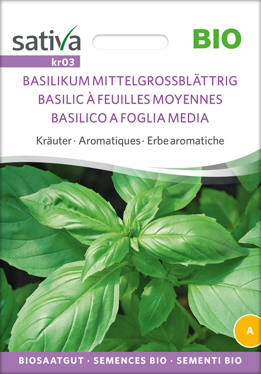  BIO Basilikum Grossblättrig [MHD 12/2025]