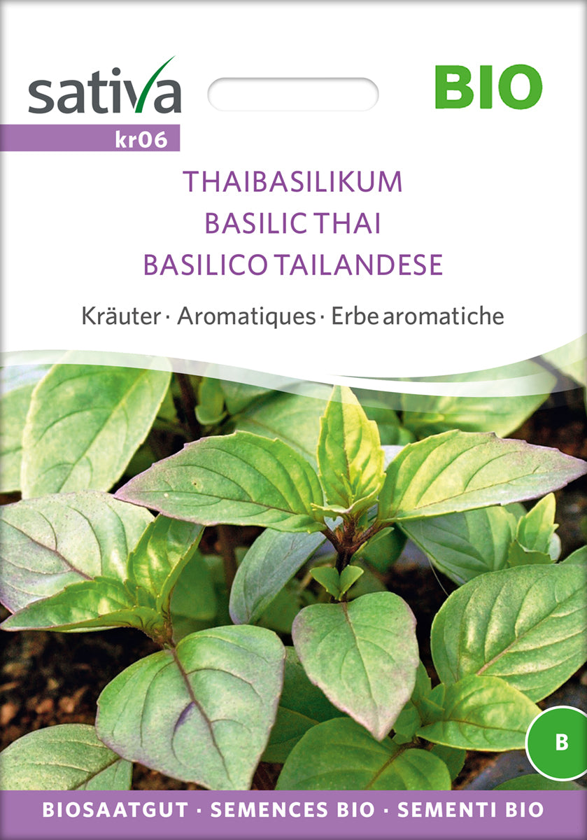  BIO Thaibasilikum [MHD 12/2025]