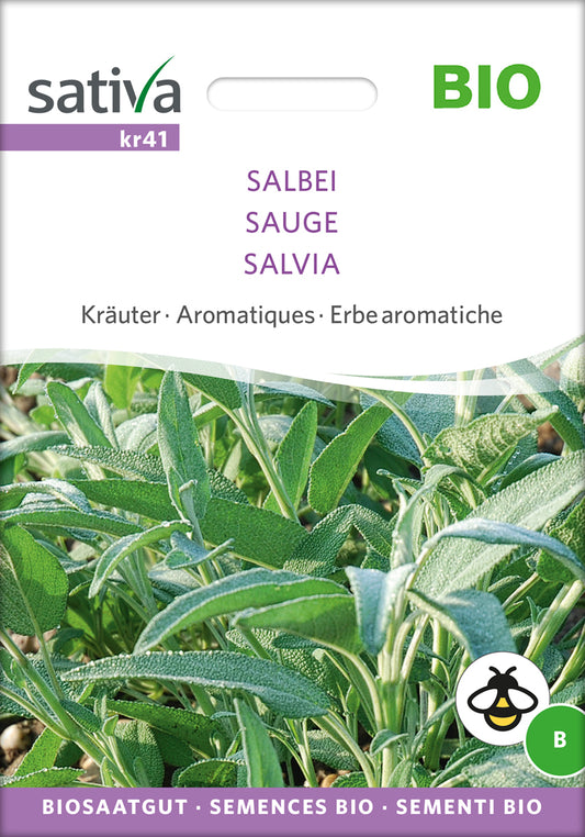  BIO Salbei [MHD 12/2025]
