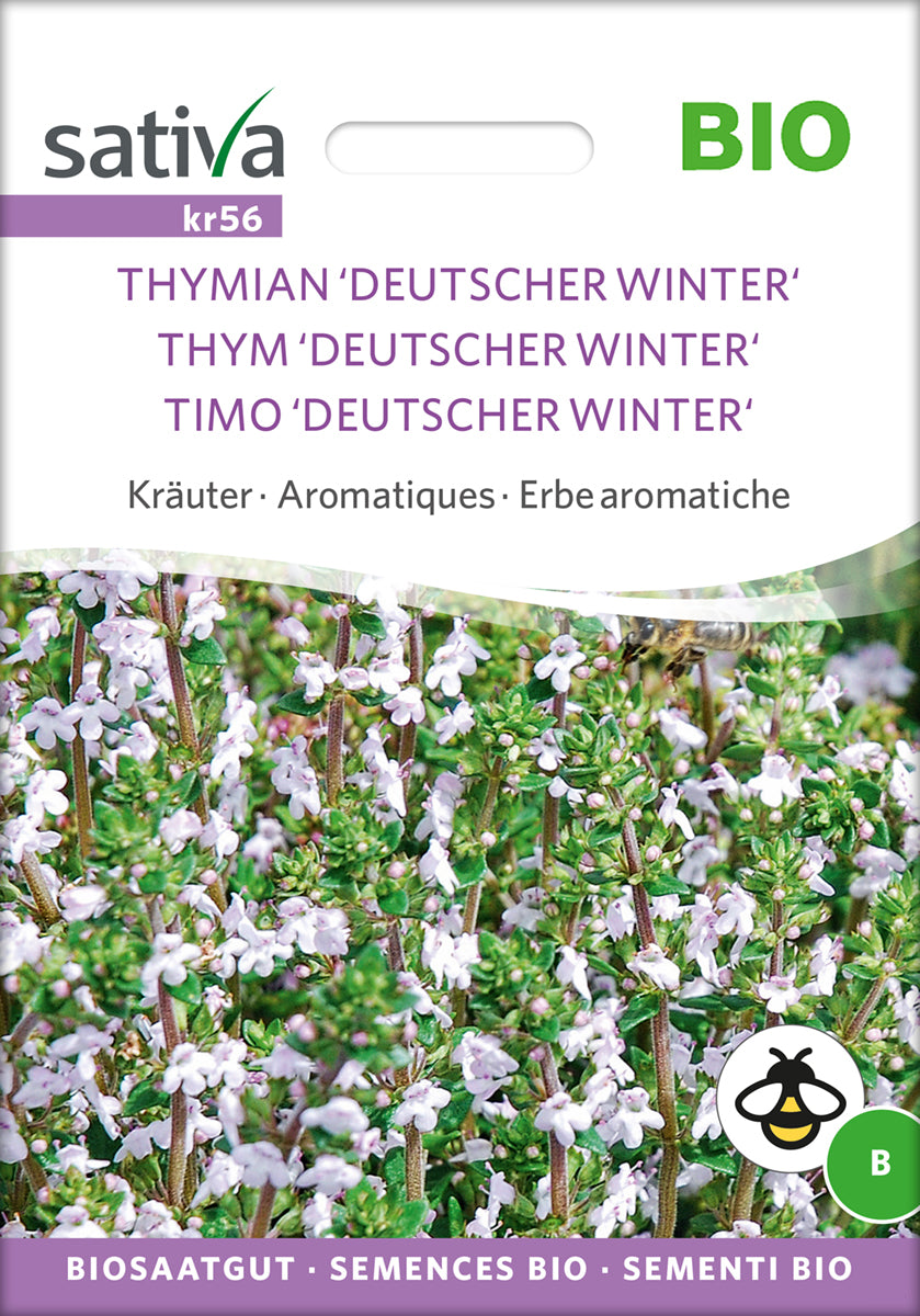  BIO Thymian Deutscher Winter