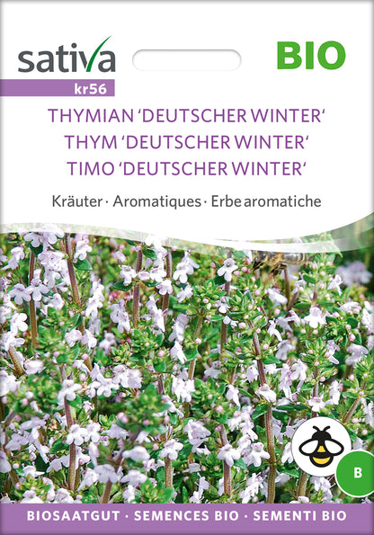  BIO Thymian Deutscher Winter