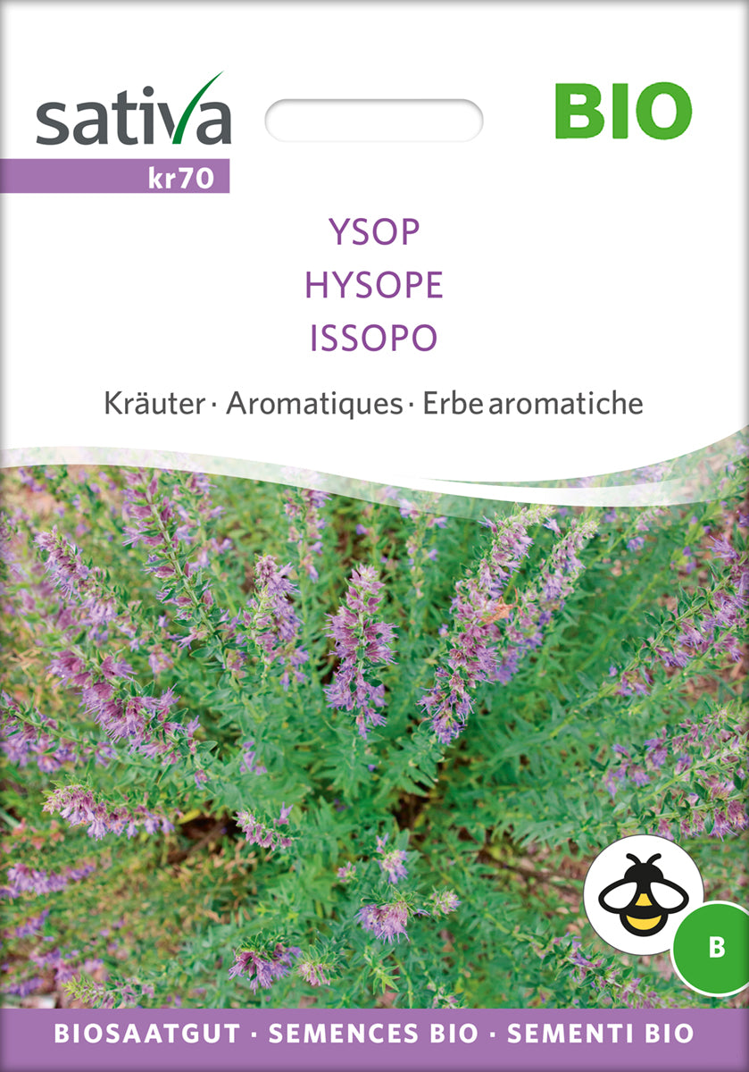  BIO Ysop [MHD 12/2025]