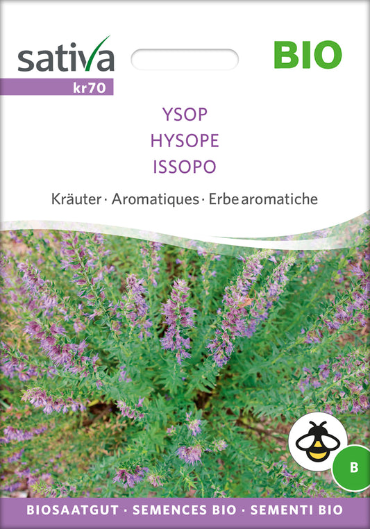  BIO Ysop [MHD 12/2025]